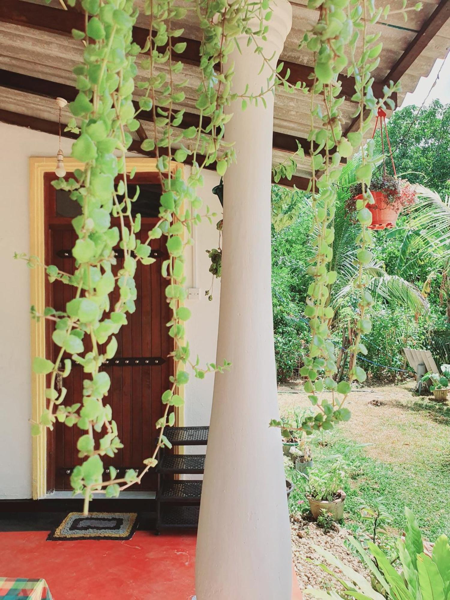 Sanu Home Stay Сигирия Екстериор снимка